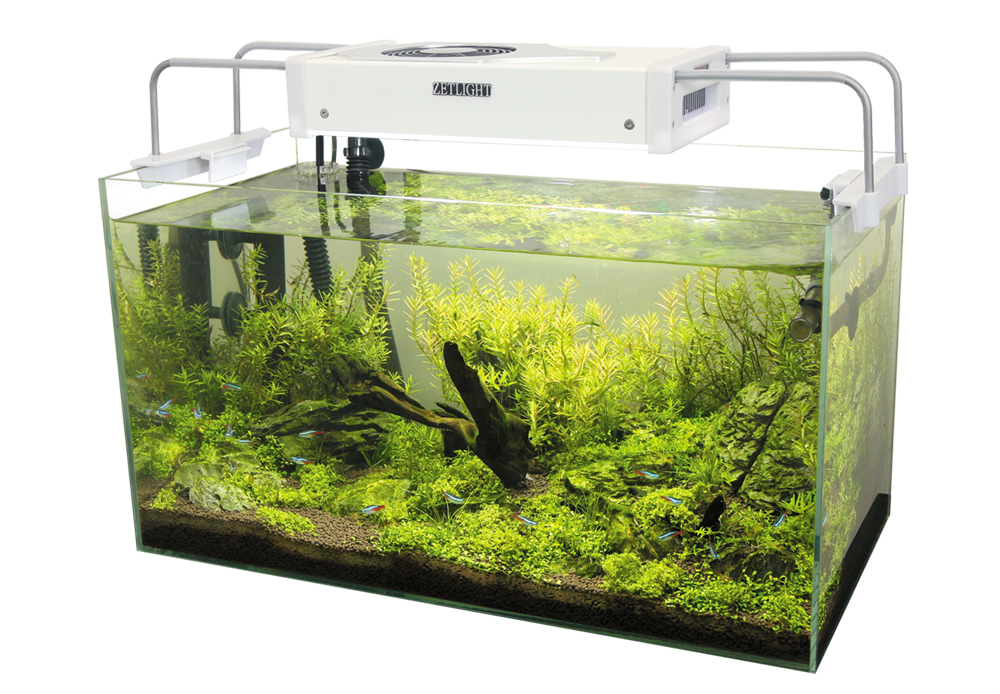 LED aquarium light over a lush planted tank with shrimp-safe fish